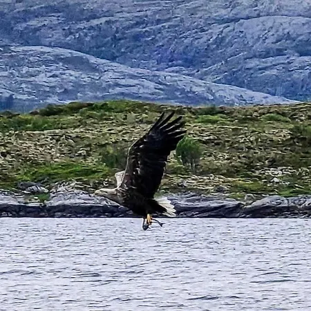 5 Person In Flatanger Vik (Nord-Trondelag)
