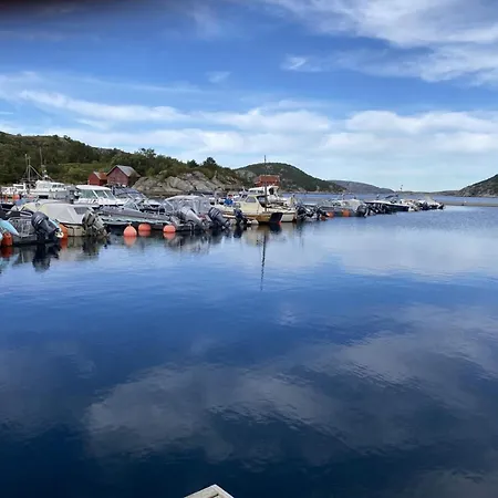 Apartman 5 Person In Flatanger Vik